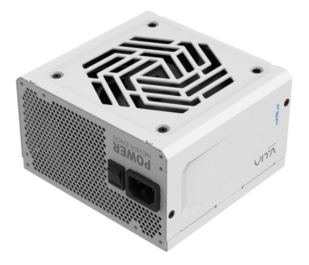 FSP/Fortron VITA GM W 850W VITA-850GM W - 1316291 - zdjęcie